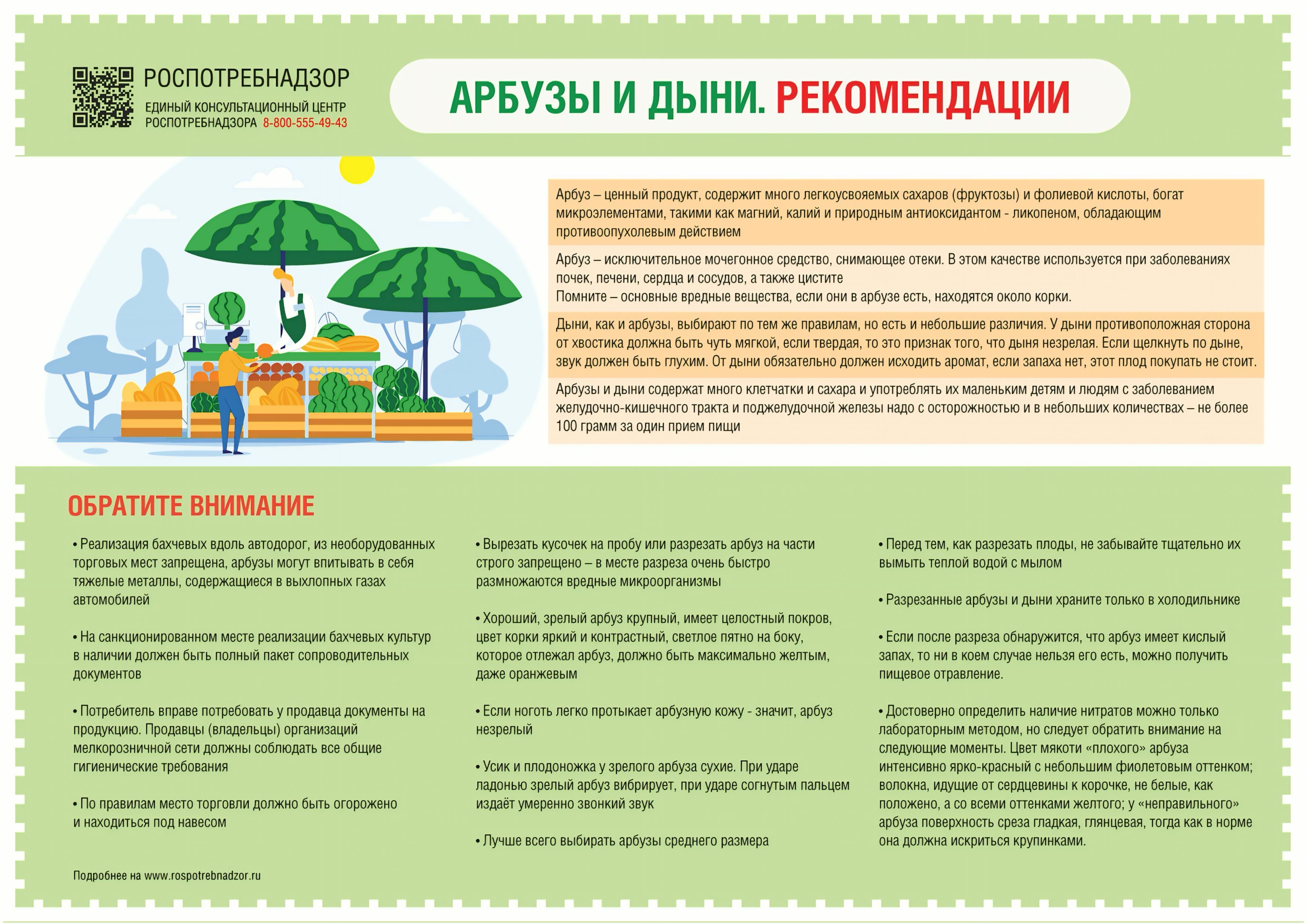 как выбрать арбузы и дыни