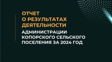 презентация отчета за 2024 год_1